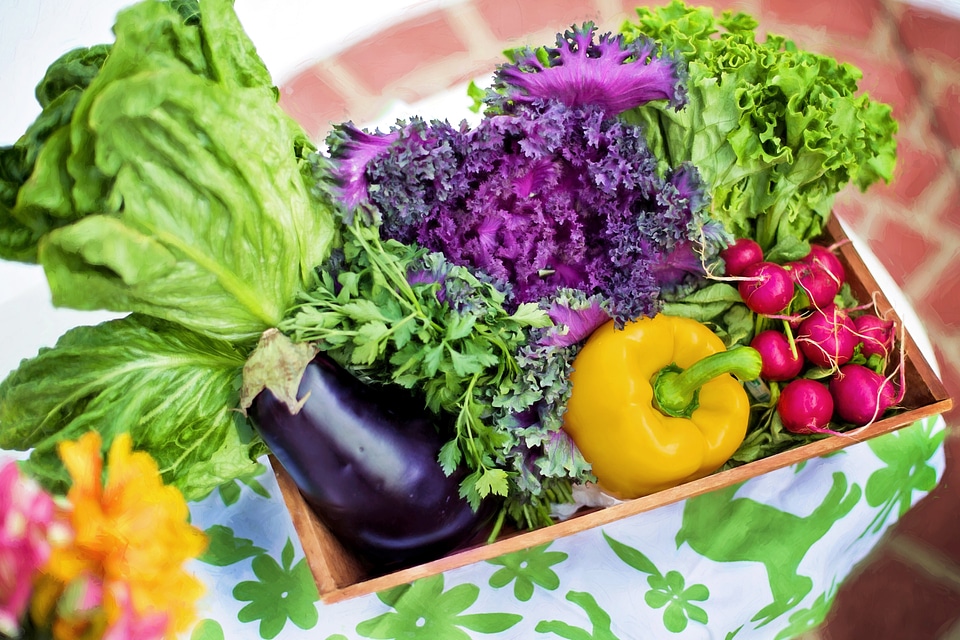 Organic green gardening