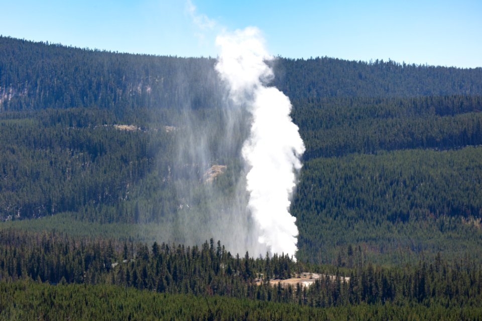 Steamboat Geyser steam phase viewed from the Norris Geyser Basin Overlook