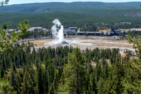 Old Faithful Geyser from Observation Point