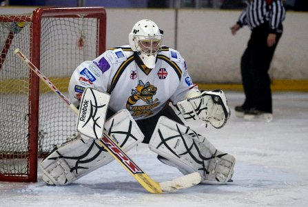 Basingstoke Bison Vs Bracknell Bees