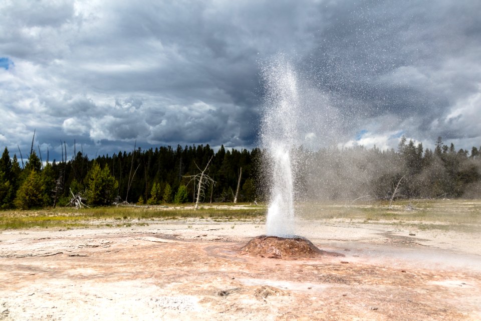 Pink Cone Geyser eruption