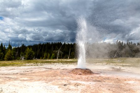 Pink Cone Geyser eruption