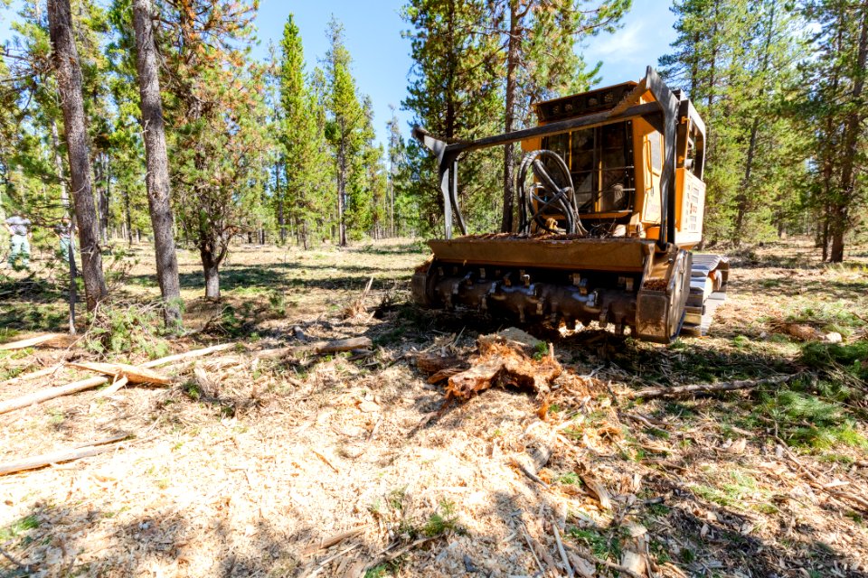 2019 West Fuels Treatment Project: masticator tool