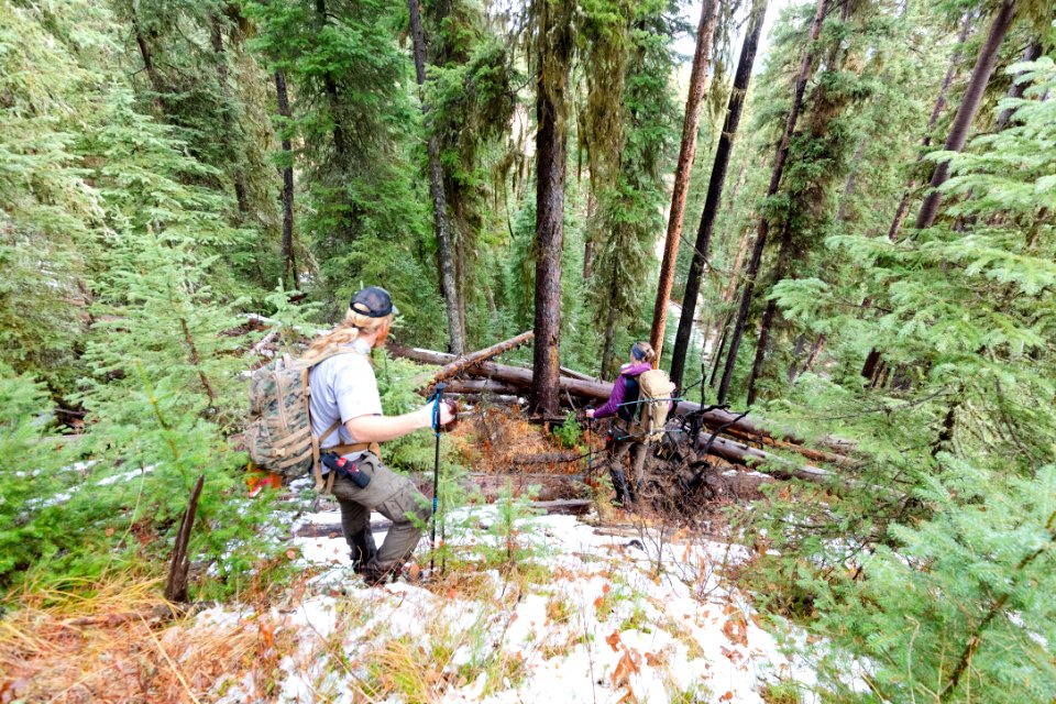A biological technician and Montana State University graduate student hiking to find grizzly GPS cluster points