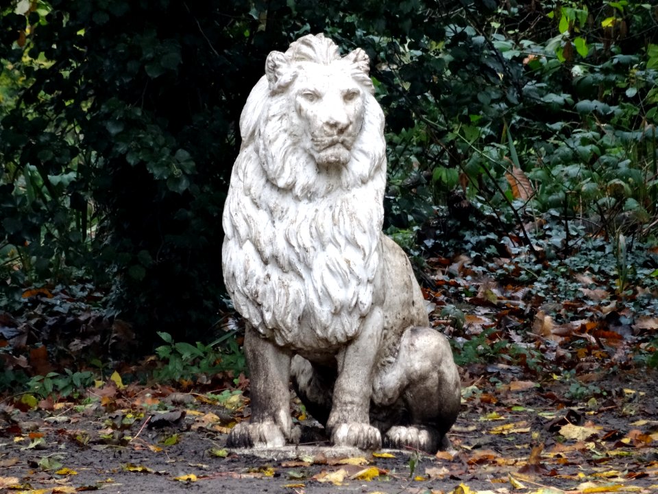 Former Maidstone Zoo
