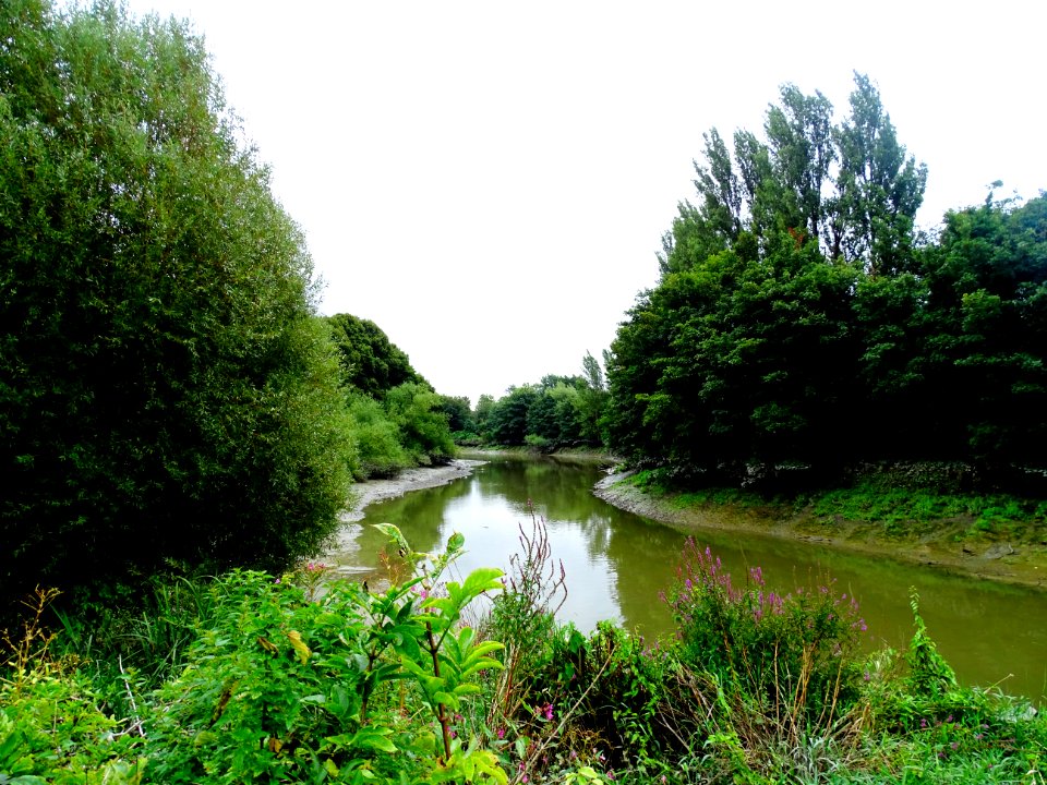 The River Medway