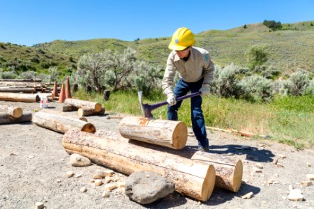 2018 YCC crews building bumper logs at Boiling River parking lot (4) photo