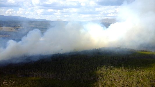 Maple Fire August 12, 2016