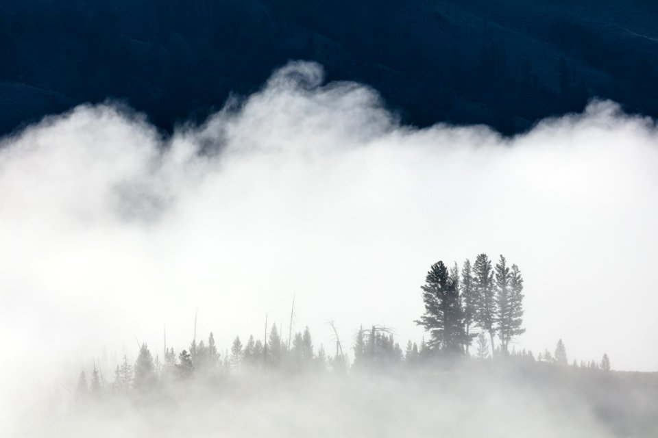 Morning fog near Tower Fall (3)
