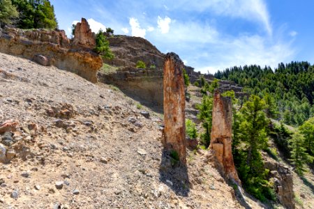 Three standing petrified trees on Specimen Ridge from below