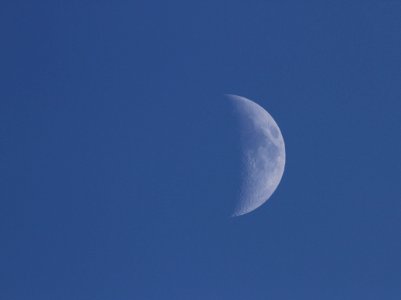 Moon over Hayden Valley photo
