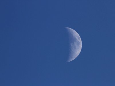 Moon over Hayden Valley