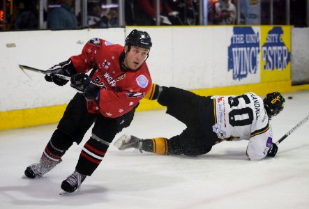 Basingstoke Bison Vs Bracknell Bees