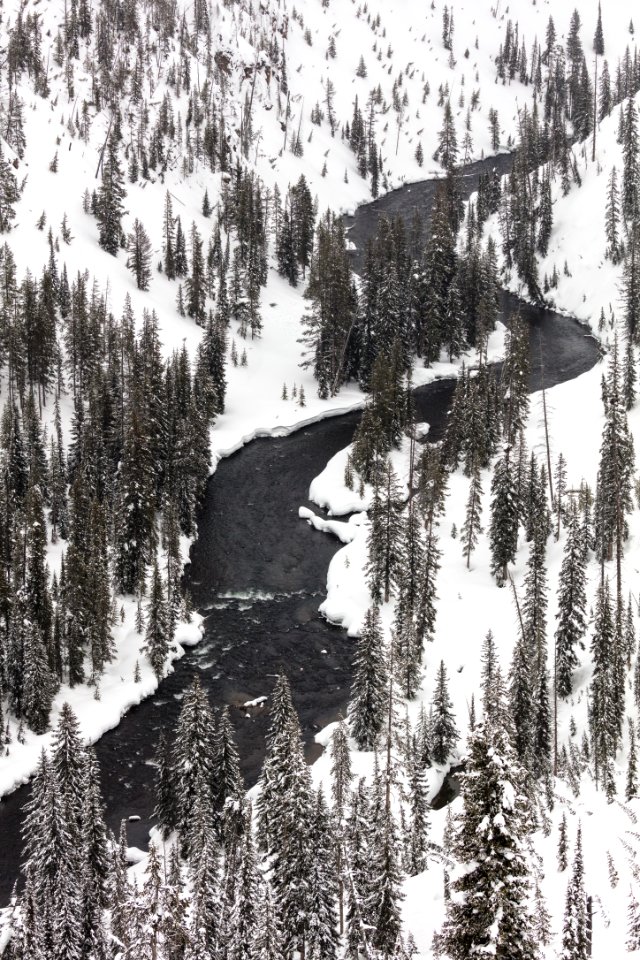 Lewis River curves through the canyon (portrait)