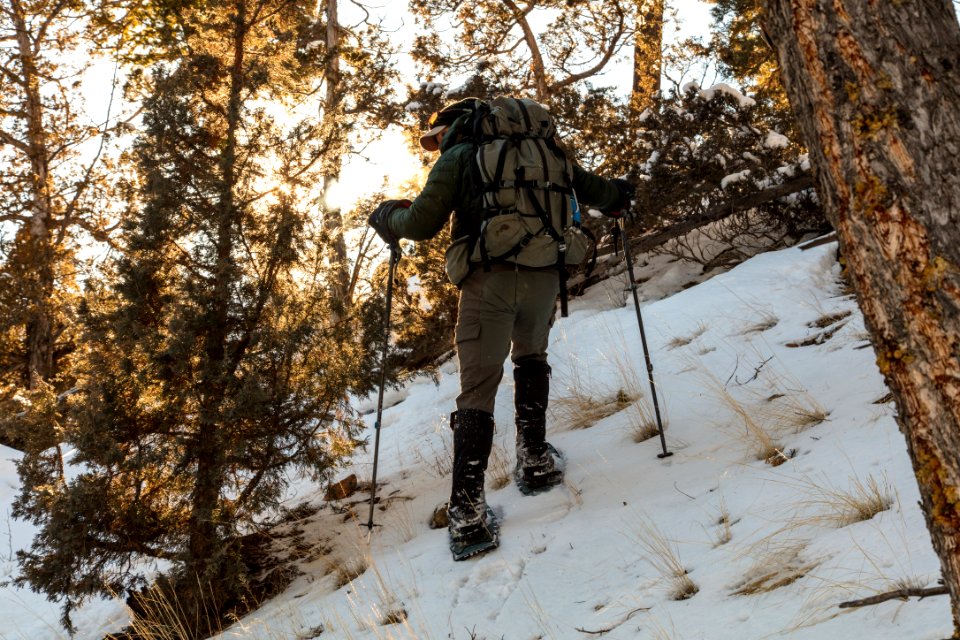 Yellowstone Forever Cougar Course - following cougar tracks