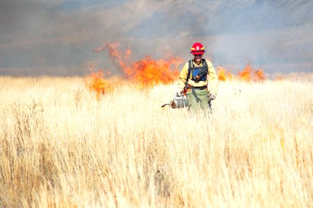 Cinnabar Basin prescribed burn project (23)
