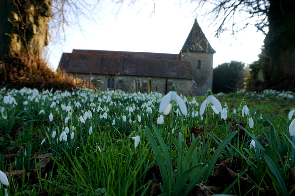 Snow ❄️ Drops St Dunstan Church West Peckham