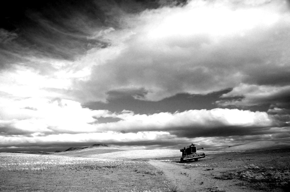 CA - SLO COUNTY, Carrizo Plain area (36) photo