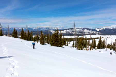 Snowshoeing Buffalo Plateau in spring (3) photo