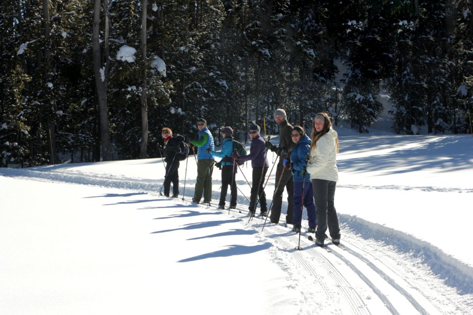 Employees skiing at Canyon