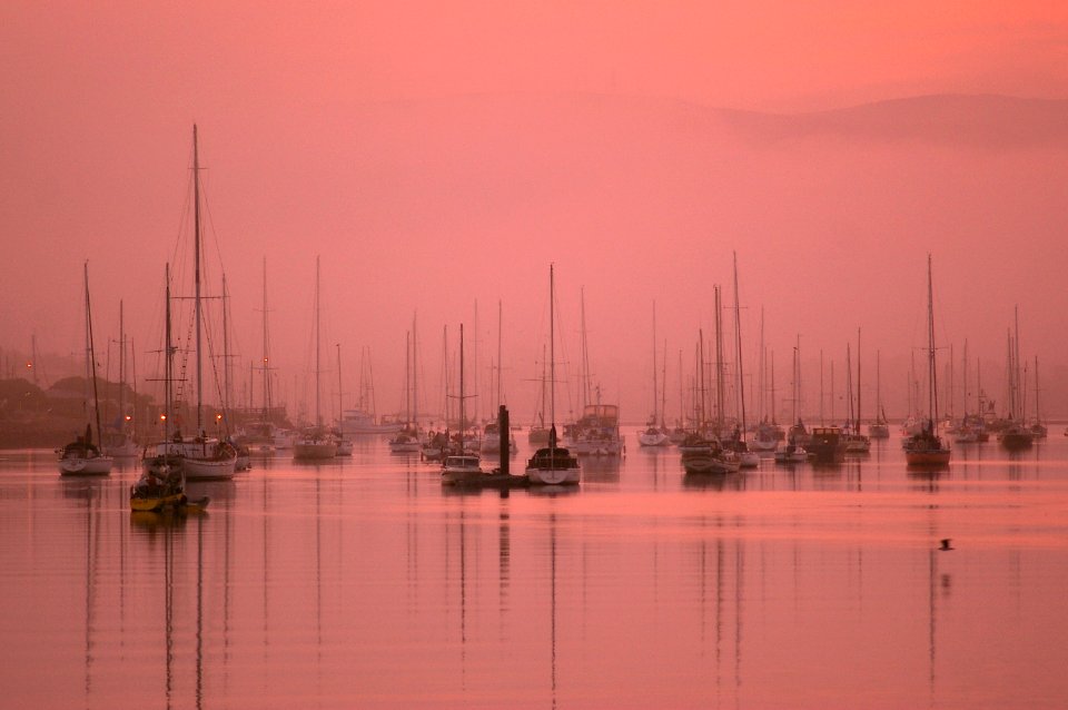 EARLY MORNING AT MORRO BAY HARBOR -052
