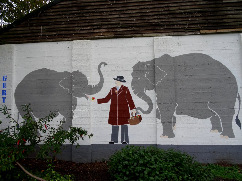The Old Elephant House Maidstone Zoo
