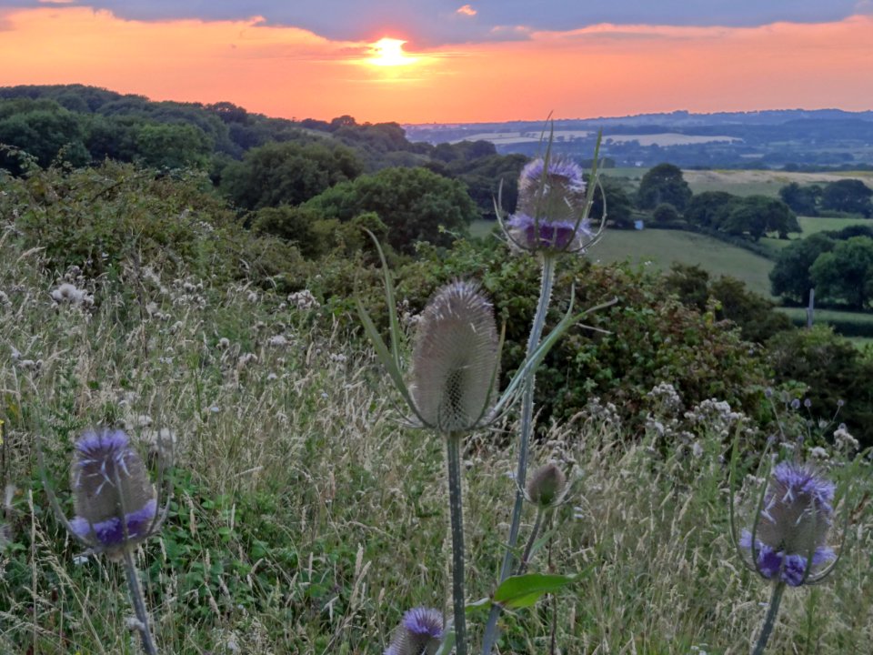 ISLE OF WIGHT SUNSET