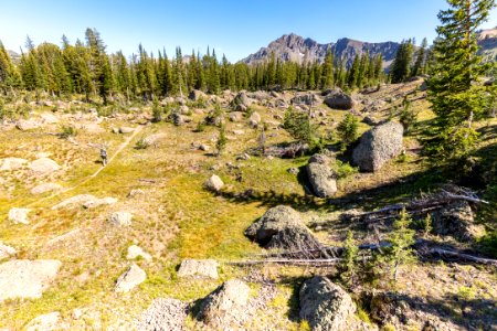 Hikers on the Wolverine Creek Trail near Wolverine Pass