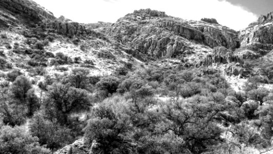 ROCK CORRAL CANYON - Atascosa Mts (3-22-14) -07 photo