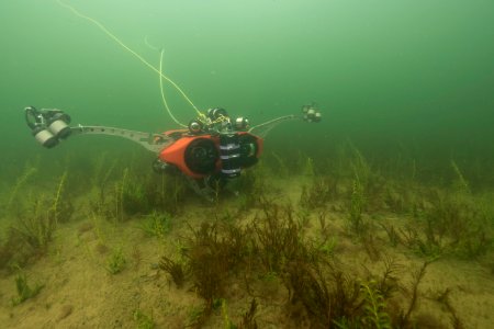 NPS Submerged Resources Center aids with Yellowstone's aquatic invasive species program (16) photo