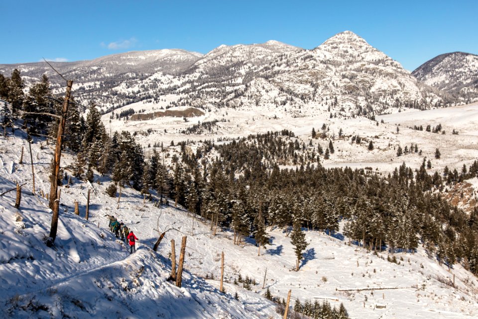Yellowstone Forever Cougar Course - Snowshoeing at Hellroaring (2)