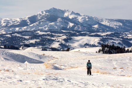A skier on the Blacktail Plateau Ski Trail with Electric Peak in the background photo