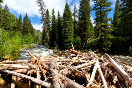 Horse Creek log jam at the bridge photo