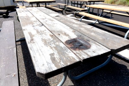 Old picnic benches in campgrounds (4) photo