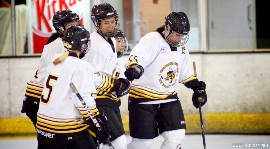 Guildford Lightning At Bracknell Queen Bees
