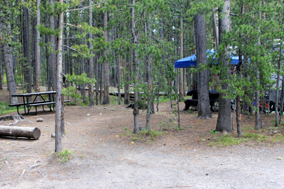 Canyon Campground site