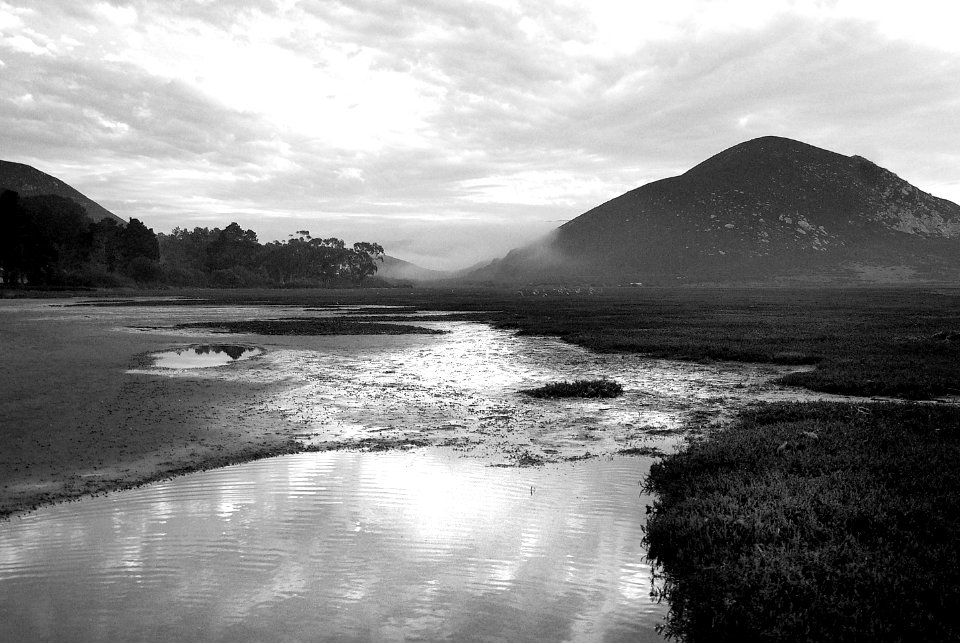 CA -  SLO COUNTY, Morro Bay area (48)