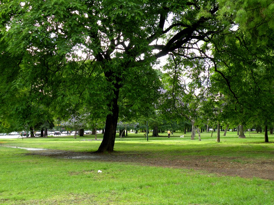 Parque Jardín Japonés