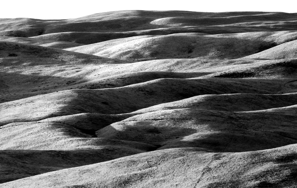 CA - SLO COUNTY, Carrizo Plain area (25)