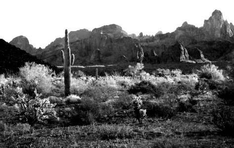 KOFA GAME RANGE, Palm Cyn Road (3-7-14) kofa game range, la paz co, az -08