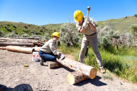 2018 YCC crews building bumper logs at Boiling River parking lot (2) photo