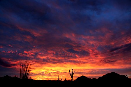 DESERT SUNSET (1-9-2017) casa grande, pinal co, az -03