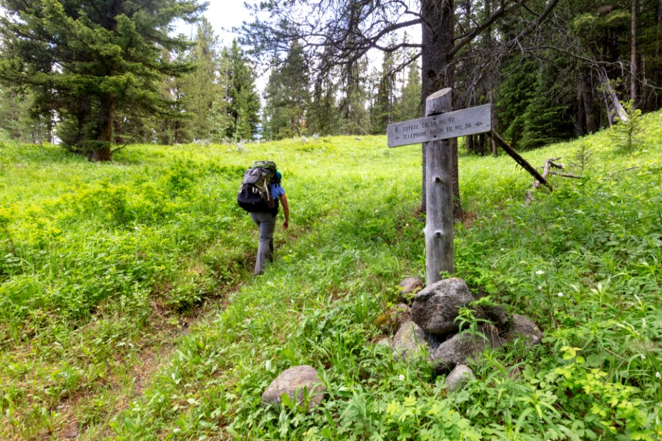 Backpacker at the Coyote Creek Telephone Basin Trail junction