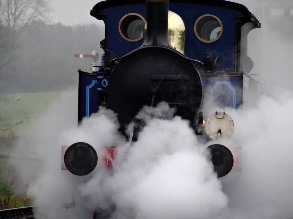 BLUEBELL 323