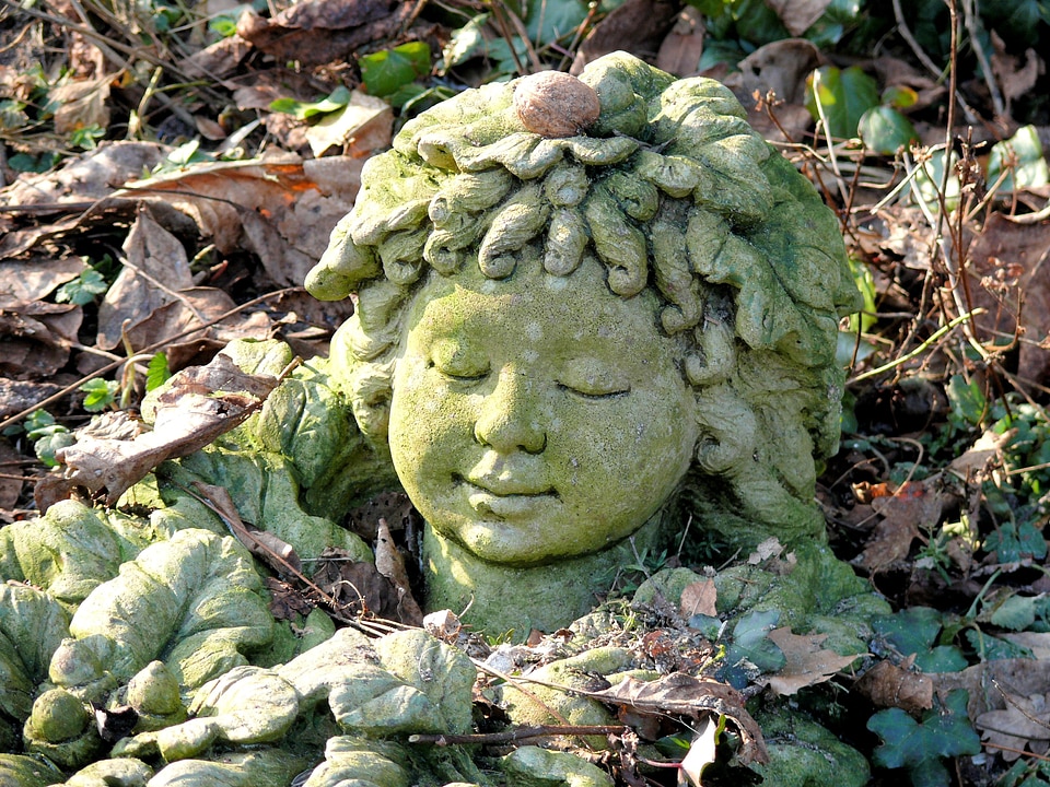 Garden fairy image garden
