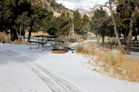 Mammoth Hot Springs Campground