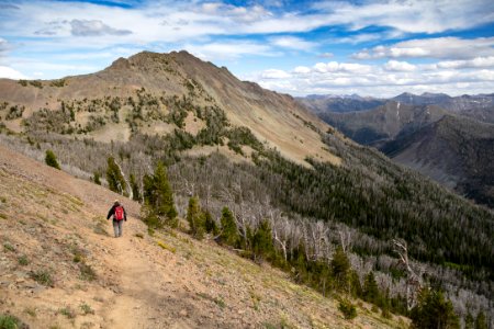 Hiker coming down the Avalanche Peak trail through the krumholtz (3) photo