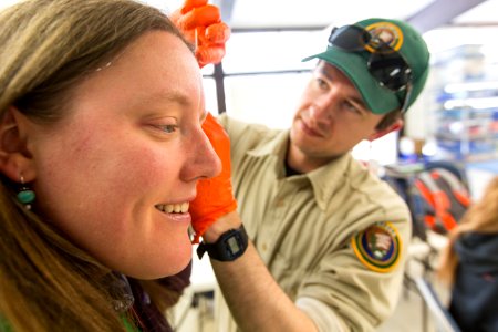 Mass Casualty Incident Training, Mammoth Hot Springs