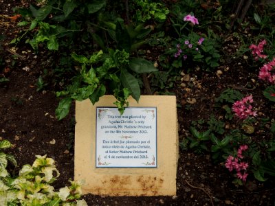 Jardín de las Orquídeas en Puerto de la Cruz