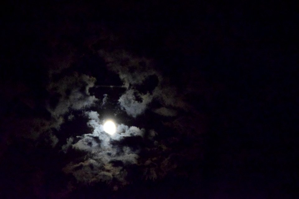 Strawberry moon 2019